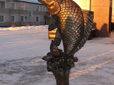 Кондинский карась